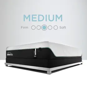 237786 TEMPUR-PEDIC Contour Proadapt Pro Adapt Queen
