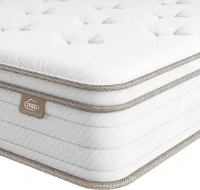 TSB12T-US TEQSLI Twin Mattress Sleep Cooler Eggshell Memory