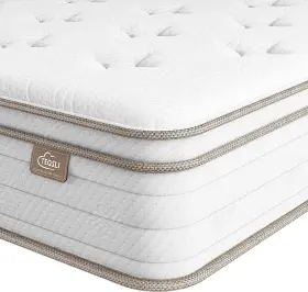 TSB25T-US TEQSLI Twin Mattress Sleep Cooler Eggshell Memory