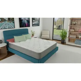810010176387 WOLF MATTRESS Hybrid Euro Top Convoluted Foam