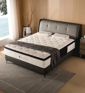 KNT02-F10-W YLJJ Mattresses Hybrid Mattress Box Memory Foam #3