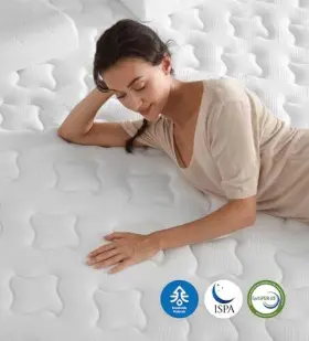 CTJ-Q12 YLJJ Mattresses Mattress Box Memory Foam Hybrid Queen #3