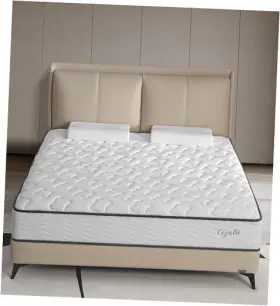 CTJ-Q12 YLJJ Mattresses Mattress Box Memory Foam Hybrid Queen