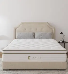 KNT01-Q10 YLJJ Memory Foam Hybrid Queen Mattress Supportive