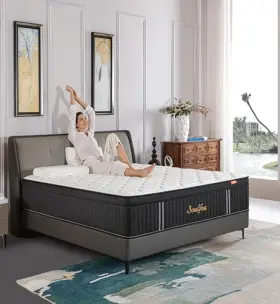 SFA-K12 YLJJ Mattress Memory Foam Hybrid Mattresses Pocket #2