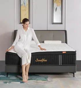 SFA-K12 YLJJ Mattress Memory Foam Hybrid Mattresses Pocket #3