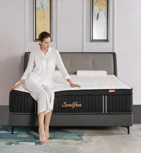 SFA-Q12 YLJJ Mattress Mattresses Memory Foam Hybrid Queen #2