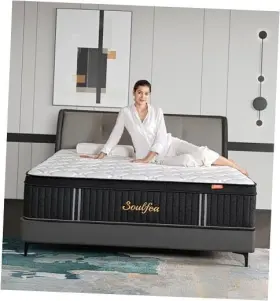 SFA-Q12 YLJJ Mattress Mattresses Memory Foam Hybrid Queen