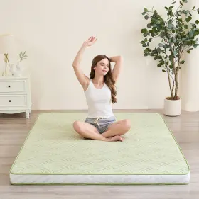 716404513229 ZELLADORRA Floor Mattress Quilted Futon Anti