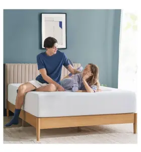 ZU-MFMA1RZI-12Q ZINUS Tea Essential Memory Foam Mattress Fib
