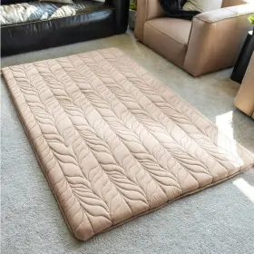 2195YT2 ZONLI Floor Mattress Futon Thicken