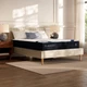 Classic 12" Queen Mattress - Memory Foam - 365 Night Trial - Back Pain Relief - 