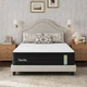Novilla 12 Inch Queen Mattress, Cooling Queen Hybrid Mattress with Upgraded Indi