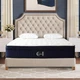 14" Queen Hybrid Mattress with Memory Foam, Innerspring & 120-Night Trial