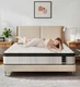 PHYAIR Queen Mattress,10 Inch Hybrid Mattress in a Box with Gel Queen, White 