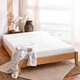 Spa Sensations by Zinus Serenity 6" Memory Foam Mattress, Twin