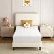 Colch&oacute;n De Muelles Twin Size 8 Pulgadas Para Cama Colchones En Oferta Baratos US