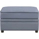 ACME Bois II Velvet Storage Ottoman in Gray
