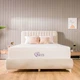 NapQueen 6 Inch Twin-XL Size Mattress, Cooling Memory Foam Mattress, Bed in a...