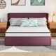 6 Inch Queen Hybrid Mattress - Medium Firm Memory Foam & Innerspring Comfort