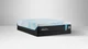 NEW TEMPUR 2023 Complete Replacement Covers Size Twin Long