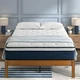 ZINUS 10 Inch Comfort Support Hybrid Mattress, Queen ZU-MSHO1SZI-10Q - White
