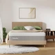 Novilla Queen Size Mattress, 12 inch Gel Memory (U.S. Standard), Bliss