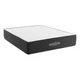 Pemberly Row 14" Modern Style Memory Foam Queen Mattress in White