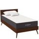 Modway Aveline 10" Modern Style Memory Foam Twin Mattress in White