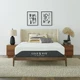 Cole & Rye SM1433-F Spirit 12" Medium Plush Hybrid of Gel Memory Foam and Spring