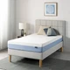 ZINUS 8 Inch Twin Cooling Essential Memory Foam Mattress Twin, White 
