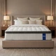 DINBooonLUX Queen Size Mattress,12 Inch Hybrid Mattress in Queen, White