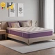 12" Queen Mattress Purple Hybrid Mattress with Gel Memory Foam & Pocket Springs