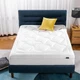 ZINUS 10 Inch Cloud Memory Foam Mattress, King, Fiberglass Free, White