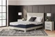 12 Inch Chime Elite 2.0 Plush Green Tea Memory Foam Mattress for Cool Sleep and 