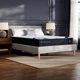 Classic 12" Queen Mattress - Luxury Hybrid Gel Memory Foam - 365 Night Trial - B