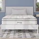 Modway Jenna 10in Innerspring and Memory Foam Full Mattress