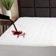 Waterguard Quilted Cotton Mattress Pad - Short Queen Size - Soft, Comfortable...
