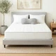 Primo International Solar 9in Polyurethane Queen Mattress in White