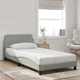 Bed Frame "Dover" Light Gray 39.4"x79.9" Twin XL Velvet vidaXL