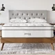 Modway Jenna 14in Innerspring and Memory Foam King Mattress