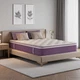 Nelaukoko 12 Inch Queen Mattress in a Box, Purple Hybrid Mattress with Gel Memor