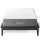 Modway Furniture Flexhaven 10" Twin Memory Mattress in -FLE-770-T