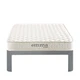 Emma White 6 Inch Twin Mattress MOD-5560-WHI Emma Collection by Modway