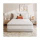 Sweetnight 10 Inch Twin Mattress in a Box with Comfort Foam, Individually Wra...