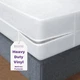BLISSFORD Plastic Mattress Protector Zippered Queen, Waterproof Vinyl Mattres...