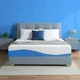 Olee Sleep Twin Mattress, 10 Inch Gel Memory Foam Mattress #2258T R9