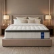 Dinbooonlux Queen Size Mattress,12 Inch Hybrid Queen Mattress in a Box with Memo