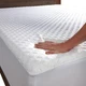 SafeRest Waterproof Queen Size Mattress Protector - Viscose Derived from Bamb...