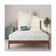 NapQueen Twin Size, 12 Inch Anula Green Tea Infused Memory Foam Mattress, Bed...